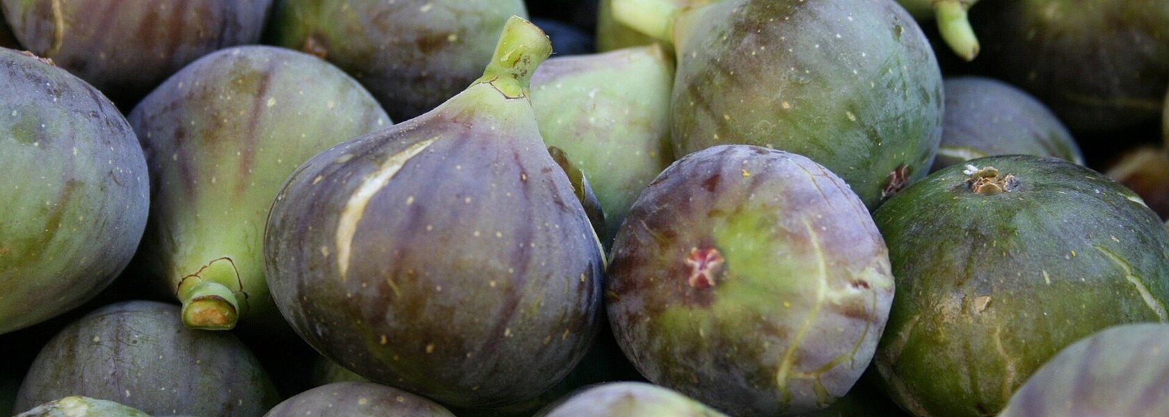 Feigen