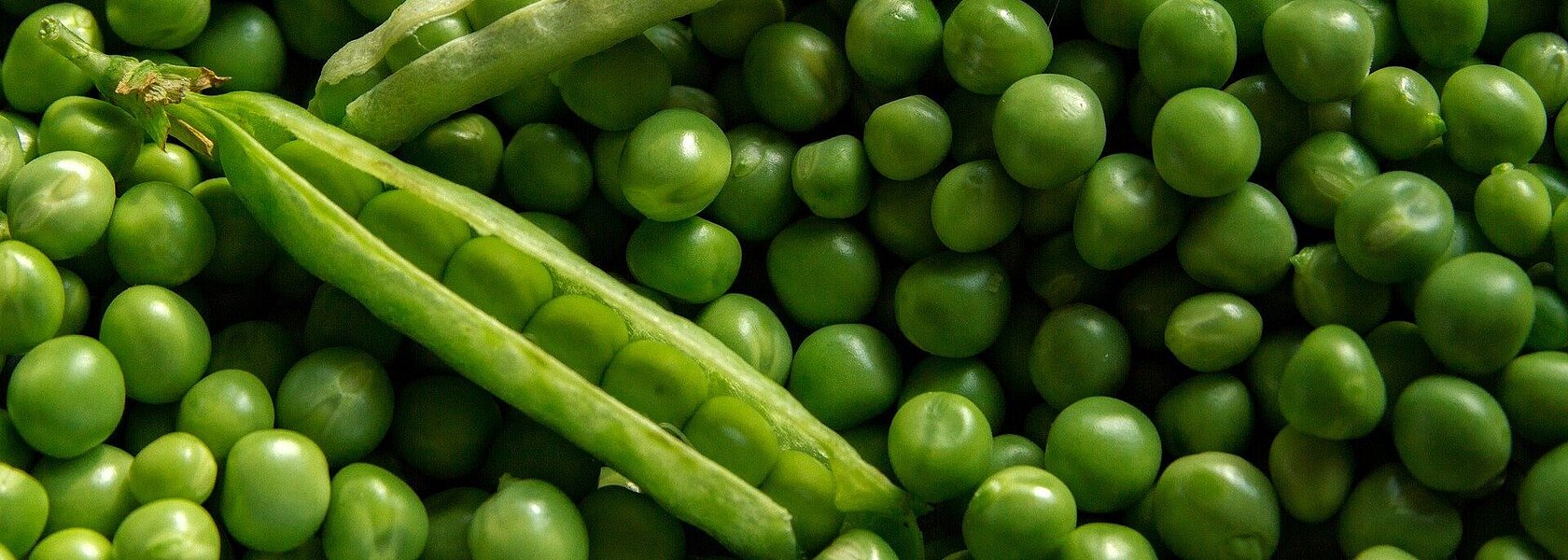 Erbsen