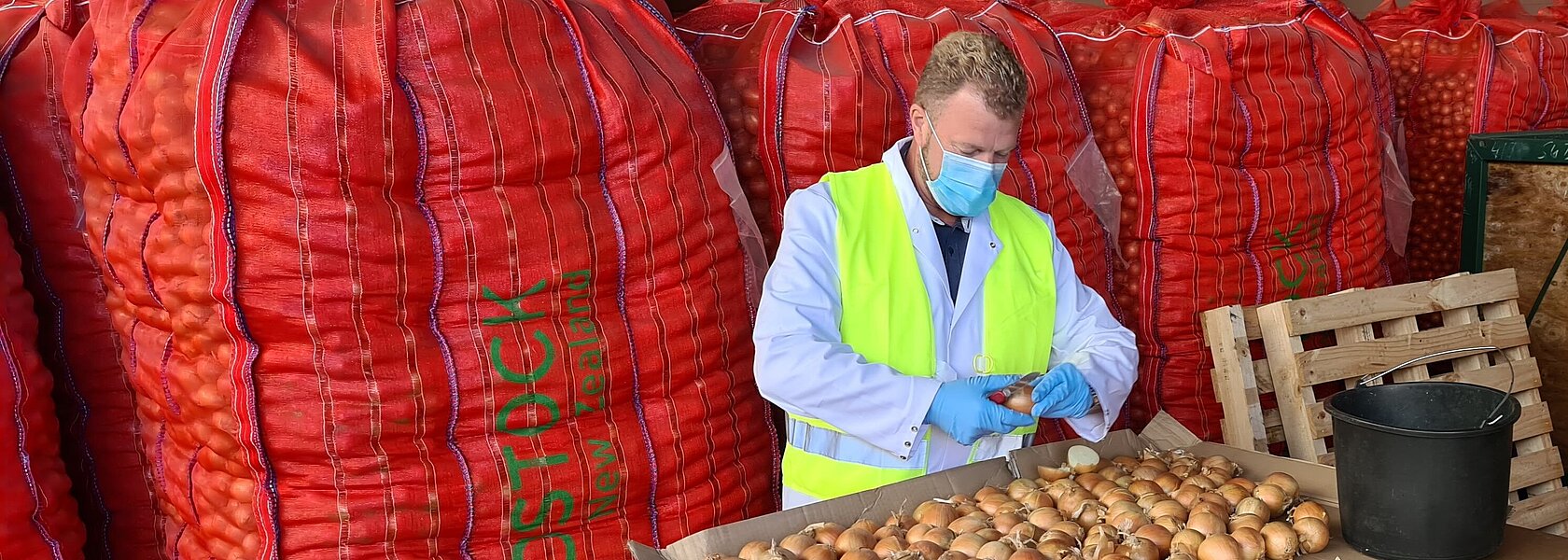 Uwe Fölster von der Bundesanstalt für Landwirtschaft und Ernährung bei einer Zwiebelkontrolle