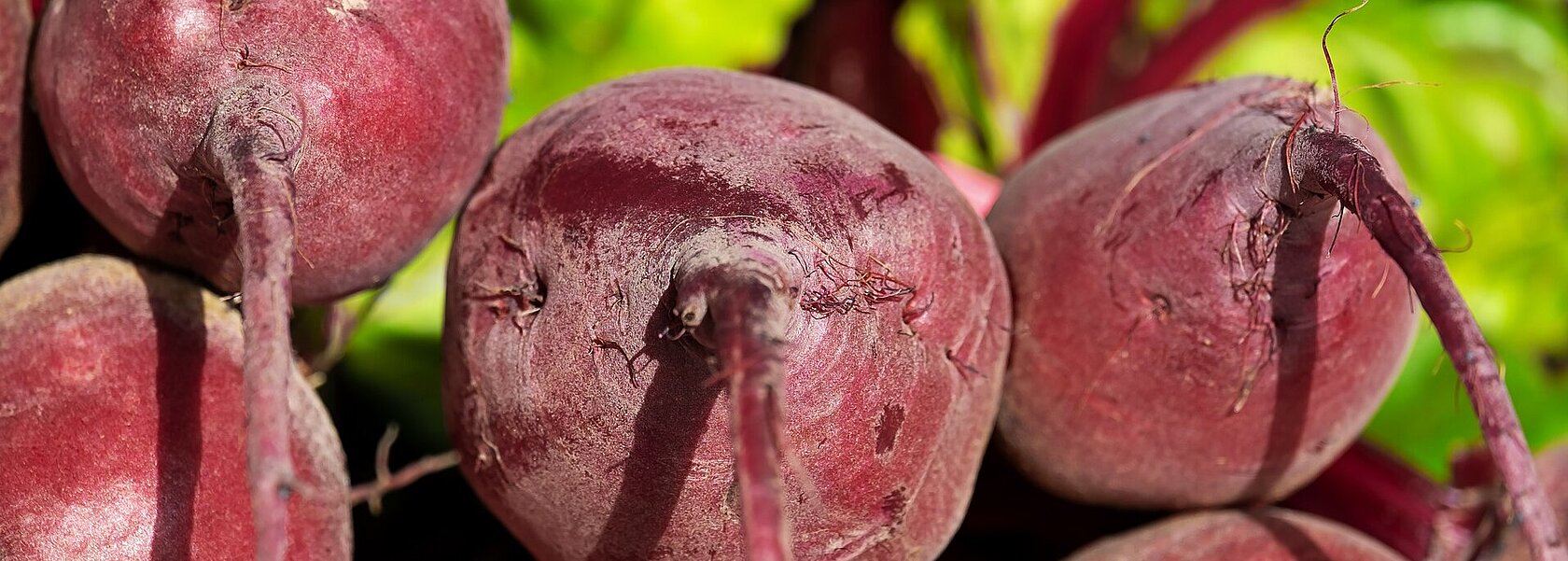 Rote Bete