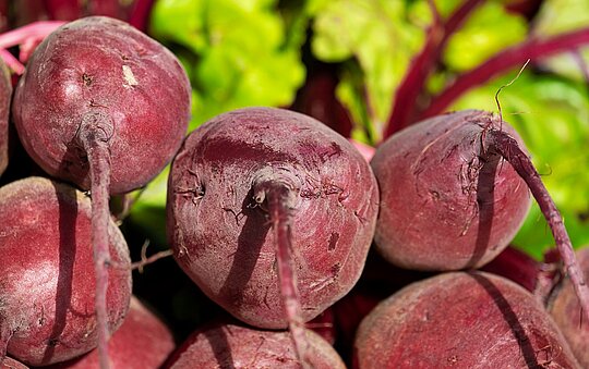 Rote Bete