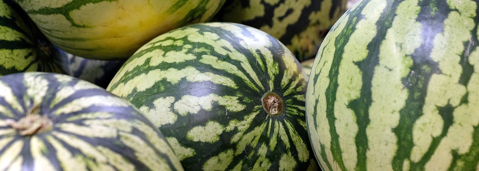 Wassermelonen